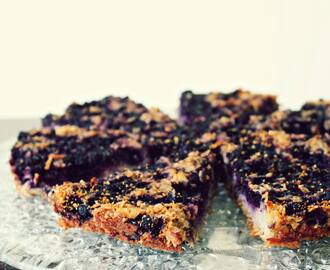 Ovenbaked blueberry oatmeal cake