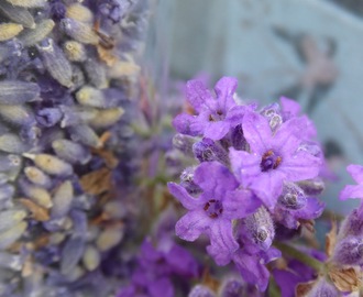 Recept på lavendelskorpor med torkad lavendel