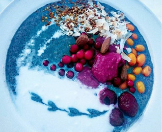 Chiapudding med spirulina och grönt te