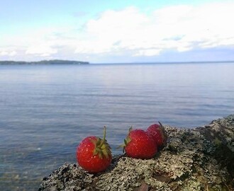 Goda tips till Midsommar