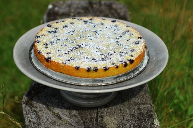 Vaniljkladdkaka med blåbär