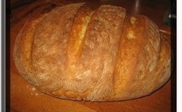 bröd