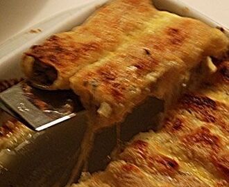 Cannelloni con pollo