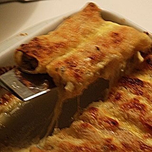 Cannelloni con pollo