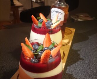 Panacotta ( melon vanilj och hallon coulis)