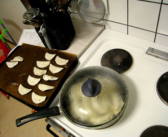 Vegetariska gyoza