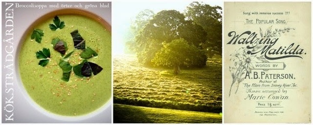 Grön soppa med sång - Broccolisoppa