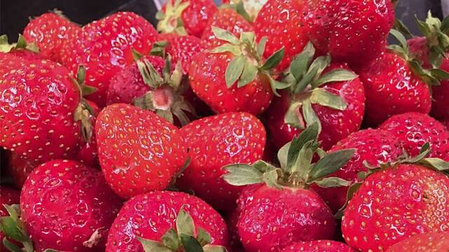 Somrig fruktsallad med jordgubbar