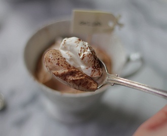 Chokladmousse på TVÅ ingredienser