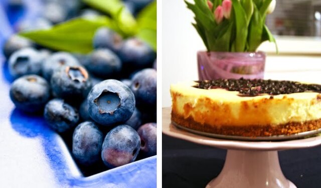 New York Blueberry Cheesecake