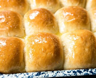 Potato Dinner Rolls