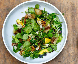 Sallad med blåbär, gorgonzola och valnötter