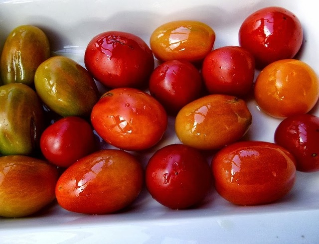 Bakade tomater