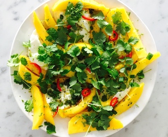 Mango, buffelmozzarella, chili, lime och koriander