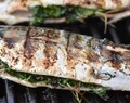 Grillet makrel med persille - klar på et kvarter