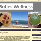 sofieswellness.bloggplatsen.se
