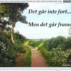 Det går inte fort... Men framåt!