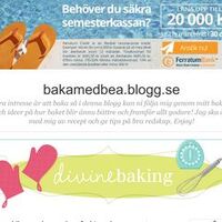 bakamedbea.blogg.se