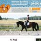 dressagebylisa.blogg.se -