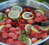 god sommarbål jordgubbar vodka