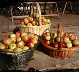 pähkinä omenapiirakka