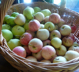 omenahillo pakastimeen