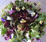 grøn salat med feta