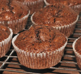 muffins med kakao