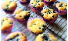 Blåbärs muffins