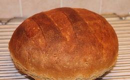 Bröd torrjäst
