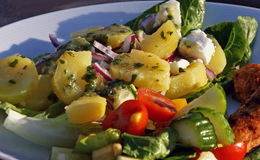 Sallad