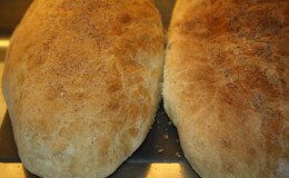 brood / Bröd - gebak /kakor