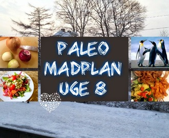 Paleo madplan uge 8