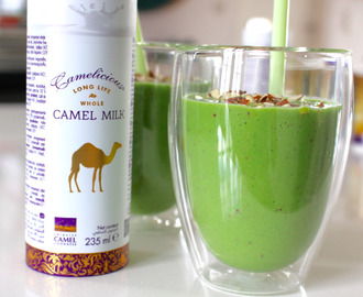 Grøn smoothie // spinat, broccoli, æble og kamelmælk