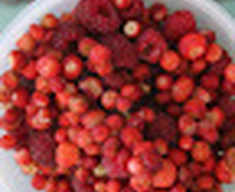 Skovjordbær / Hindbær snaps (og puré)