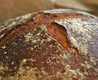 Mørkt brød farvet med malt – er det sundt?