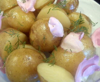 Sommer Kartofler