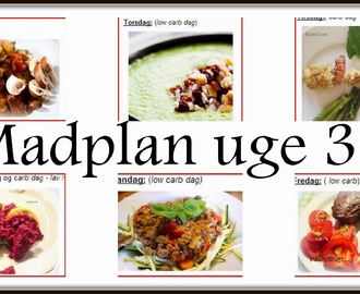 Paleolivets madplan uge 39