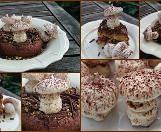 Skovbunds chokoladekage :)