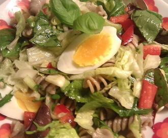 Tunpastasalat a la Salade de Niçoise