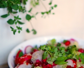 Mehukas granaattiomenasalaatti / A juicy pomegranate salad