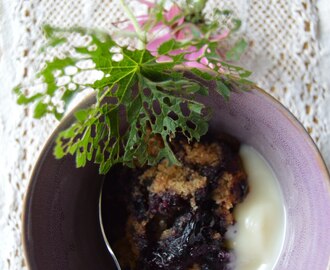 MUSTIKKAKUKKOA I SOIJA-KASVIS-KAALILAATIKKOA (VEGE)