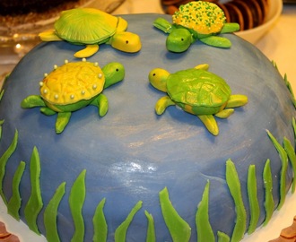 Kilpikonna-kakku
