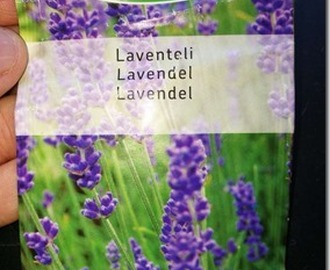 Väärä nimi ja ohjeet laventelin kylvöön
