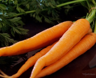 Uuden sadon porkkanat
