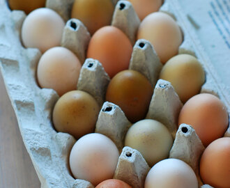Havrelapper - egg og havre i skjønn forening