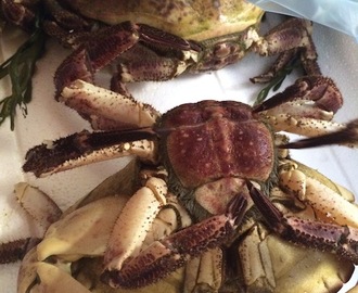 Krabbelag med nykokte krabber