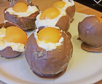 Sjokolade egg med vanilje protein yoghurt fyll og frukt “plomme” :D