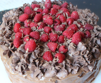 Bluberry Chocolate Cake