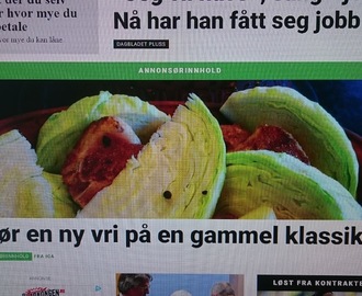 FÅRIKÅL I DAGBLADET